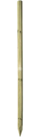 FA CÖLÖP (KERÍTÉS OSZLOP)(Ø70mm)(200cm)(1666260720)